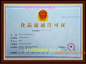 企業(yè)一站式服務(wù)指南 從公司注冊到軟件開發(fā)的全方位解決方案